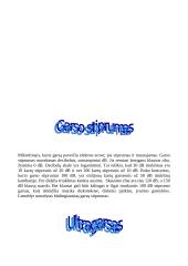 Garsas ir klausa 4 puslapis