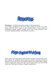 Garsas ir klausa 6 puslapis