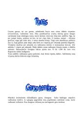 Garsas ir klausa 7 puslapis