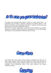 Garsas ir klausa 8 puslapis