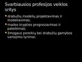 Madų dizainerio profesija 5 puslapis