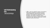 Skaidrės apie veterinaro profesiją 2 puslapis