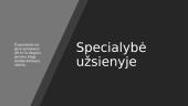 Skaidrės apie veterinaro profesiją 9 puslapis
