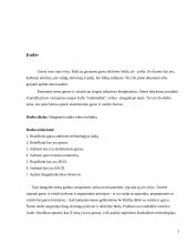 Garso ir vaizdo technika 2 puslapis