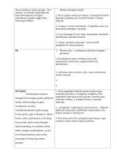 Žmogaus idealas pagal Sofoklio dramą ,,Antigonė‘‘. Planas 2 puslapis