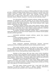 Geležinkelių transporto problemos 3 puslapis