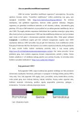 ES politika genetiškai modifikuotų organizmų atžvilgiu 3 puslapis