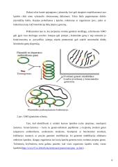 ES politika genetiškai modifikuotų organizmų atžvilgiu 4 puslapis