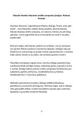Platonas. Puota 12 puslapis