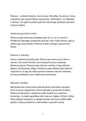 Platonas. Puota 5 puslapis