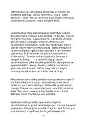 Platonas. Puota 10 puslapis