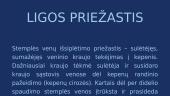 Stemplės venų mazgai 3 puslapis