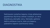 Stemplės venų mazgai 5 puslapis