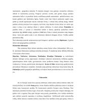 Geografija ir subalansuotas vystymasis 3 puslapis