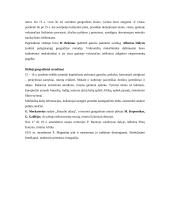 Geografija ir subalansuotas vystymasis 4 puslapis