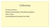 Socialinio pedagogo darbas ugdymo įstaigose 6 puslapis