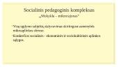 Socialinio pedagogo darbas ugdymo įstaigose 8 puslapis