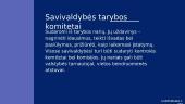 Vietos bendruomenė ir savivalda 4 puslapis