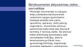 Vietos bendruomenė ir savivalda 7 puslapis