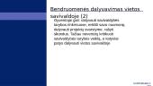 Vietos bendruomenė ir savivalda 8 puslapis