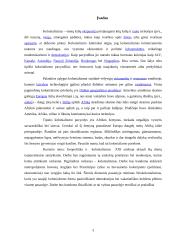 Geopolitika ir kolonializmas XXI amžiuje 3 puslapis