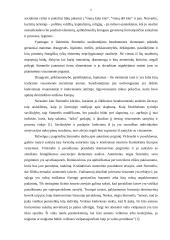 Georg Simmel 5 puslapis