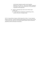 Tragiškos lietuvių patirties liudijimas XX a. vid. katastrofų literatūroje. Kalba su planu 2 puslapis