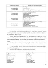 Geras vadovas – koks jis turėtų būti 12 puslapis