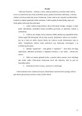 Geras vadovas – koks jis turėtų būti 17 puslapis