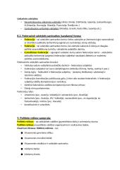 Politikos teorija ir politinės sistemos 19 puslapis