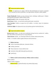 Politikos teorija ir politinės sistemos 3 puslapis