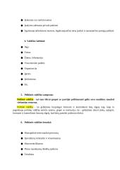 Politikos teorija ir politinės sistemos 6 puslapis