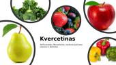 Kvercetinas 2 puslapis
