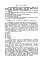 Gydymas vandeniu 2 puslapis