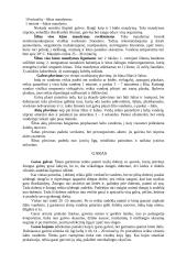 Gydymas vandeniu 5 puslapis