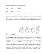 Viskas apie gimdymą 8 puslapis