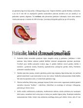 Viskas apie gimdymą 10 puslapis