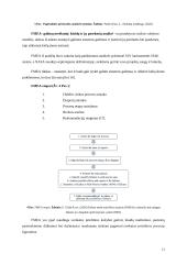 Rizikų valdymas sveikatos priežiūroje 10 puslapis