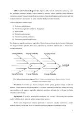 Rizikų valdymas sveikatos priežiūroje 11 puslapis