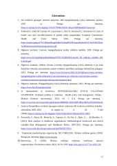 Rizikų valdymas sveikatos priežiūroje 14 puslapis