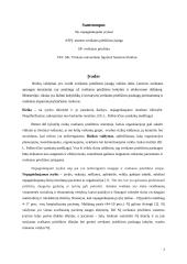 Rizikų valdymas sveikatos priežiūroje 2 puslapis