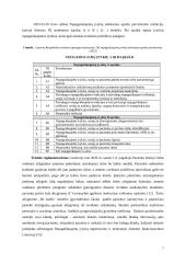 Rizikų valdymas sveikatos priežiūroje 6 puslapis