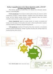 Rizikų valdymas sveikatos priežiūroje 7 puslapis