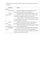 Girtumo būsena 2 puslapis