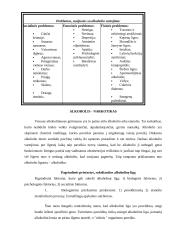 Girtumo būsena 3 puslapis