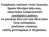 Nugaros masažas  17 puslapis