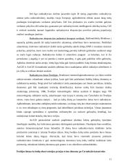 GIS ir visuomenės saugumas 10 puslapis