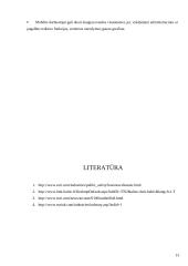 GIS ir visuomenės saugumas 12 puslapis