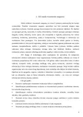 GIS ir visuomenės saugumas 3 puslapis