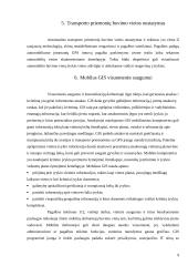 GIS ir visuomenės saugumas 8 puslapis